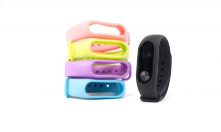 Fitbit Flex 2 (Aktivitätstracker)